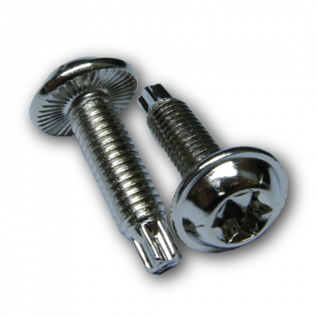 Stainless steel screw